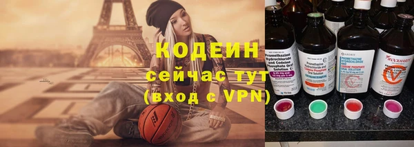 эйфоретик Бикин