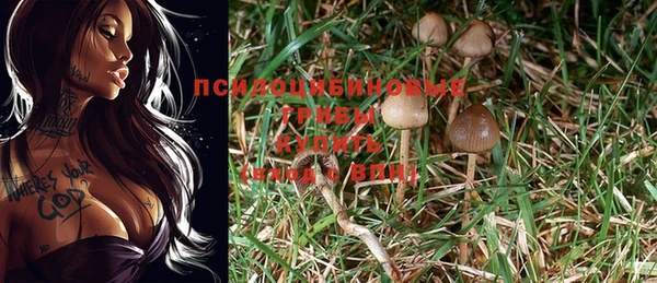 дмт Абдулино