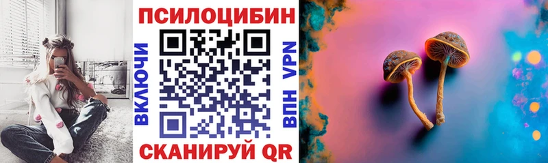 Галлюциногенные грибы Cubensis  купить  цена  omg сайт  Пыталово 